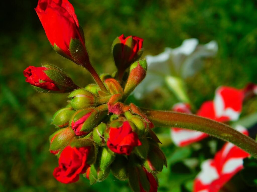 Best Tea for Weight Loss in 2026: What Actually Works (And What Doesn’t)